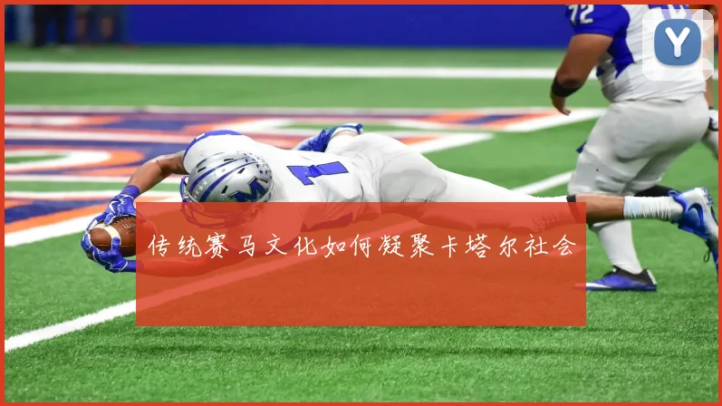 传统赛马文化如何凝聚卡塔尔社会