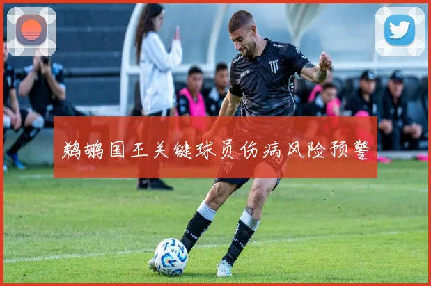 鹈鹕国王关键球员伤病风险预警