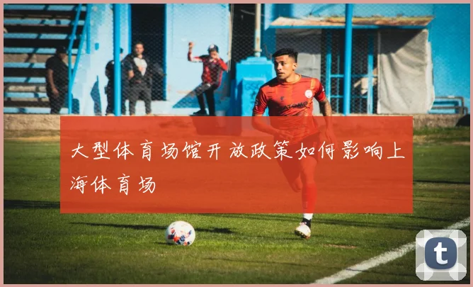 大型体育场馆开放政策如何影响上海体育场