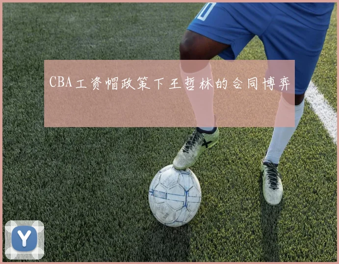 CBA工资帽政策下王哲林的合同博弈